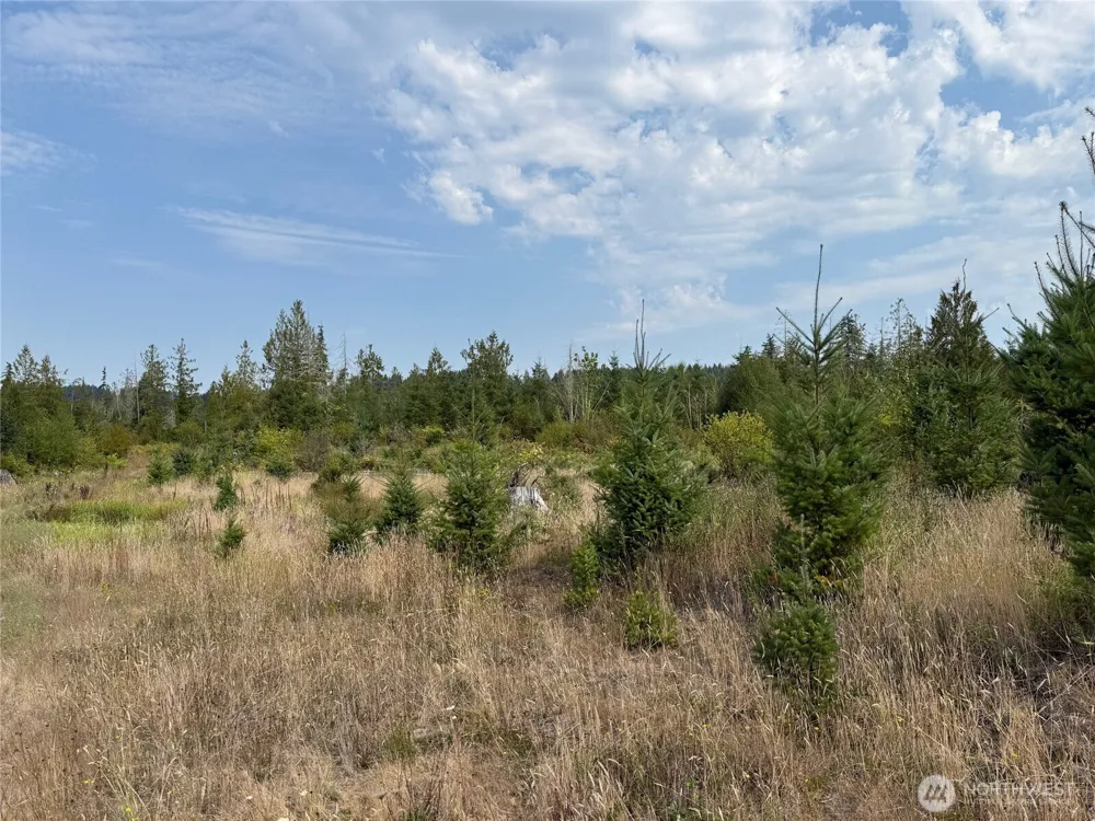 14 xx Spencer Road Onalaska, WA 98570