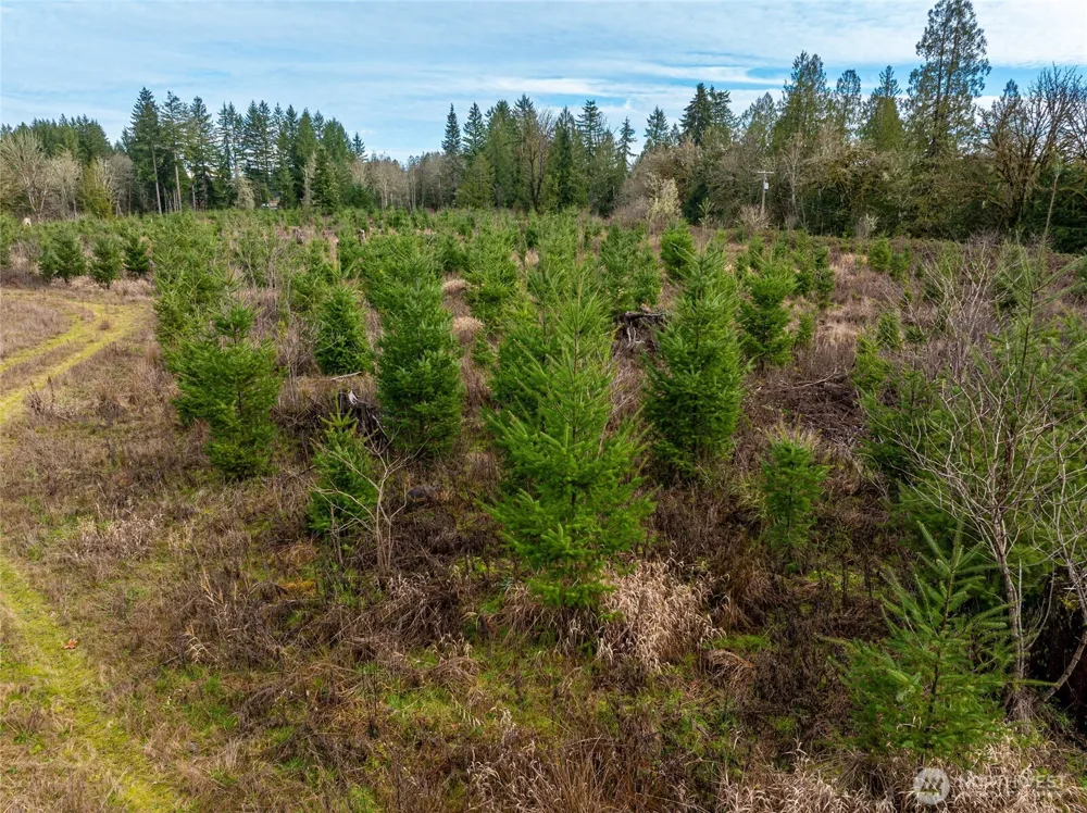 14 xx Spencer Road Onalaska, WA 98570