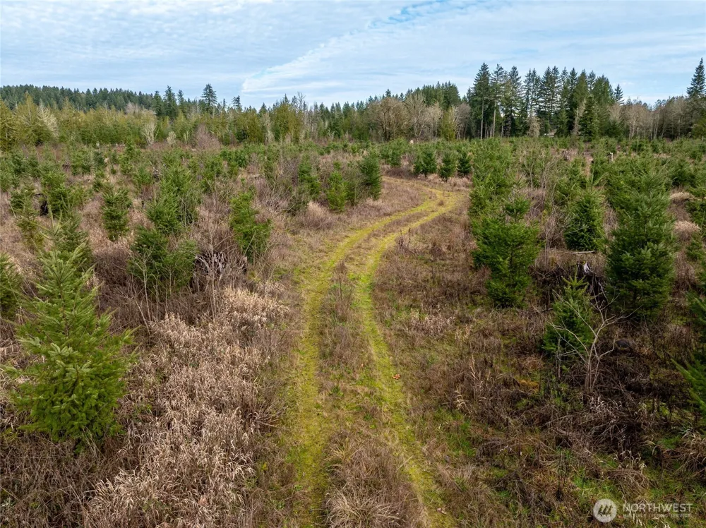 14 xx Spencer Road Onalaska, WA 98570