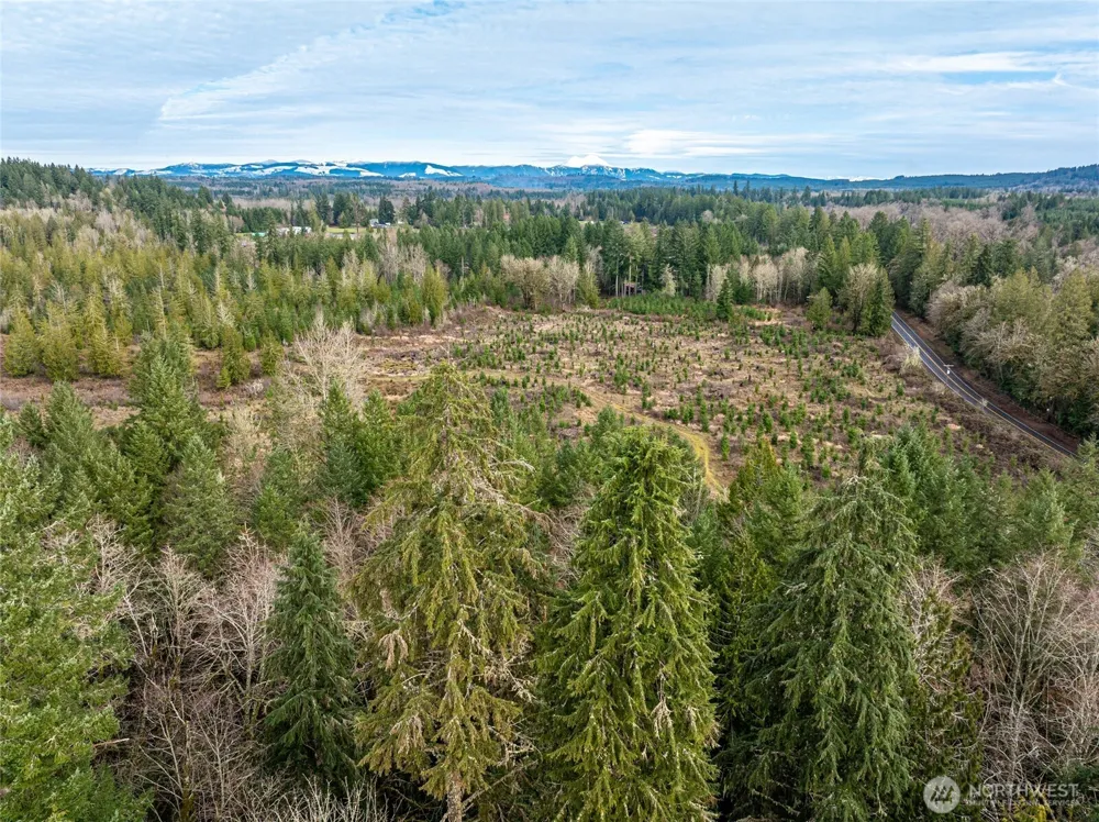 14 xx Spencer Road Onalaska, WA 98570