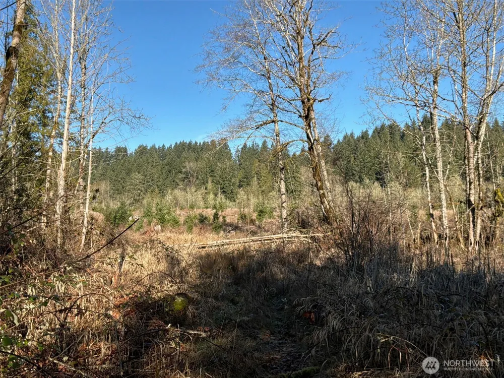 14 xx Spencer Road Onalaska, WA 98570