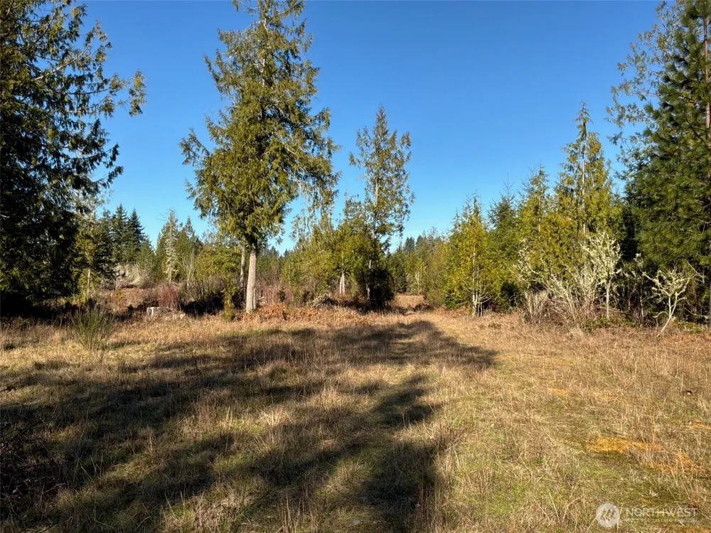 14 xx Spencer Road Onalaska, WA 98570