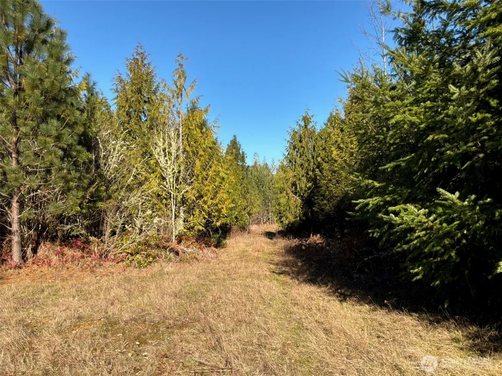 14 xx Spencer Road Onalaska, WA 98570