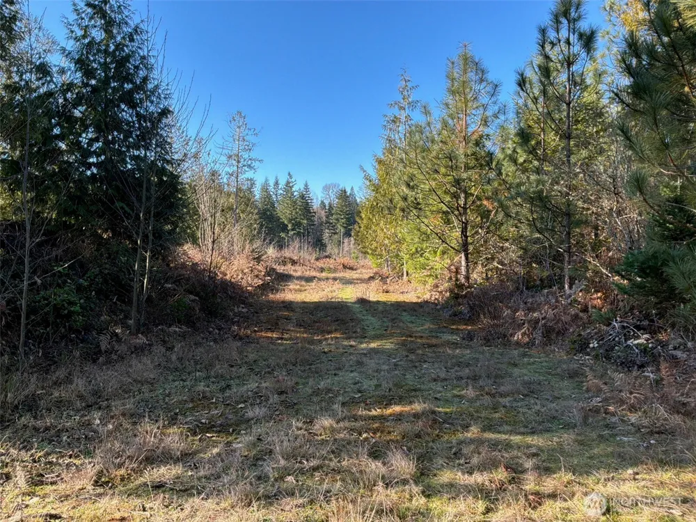 14 xx Spencer Road Onalaska, WA 98570