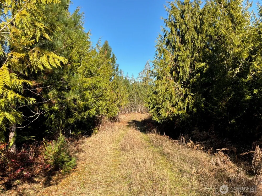 14 xx Spencer Road Onalaska, WA 98570