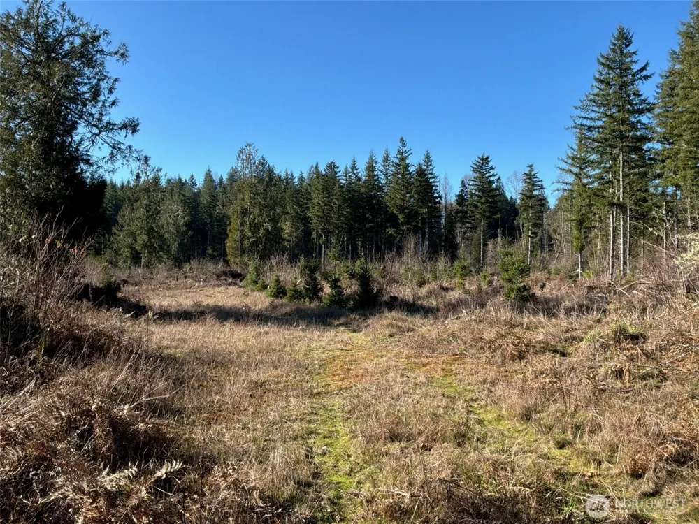14 xx Spencer Road Onalaska, WA 98570