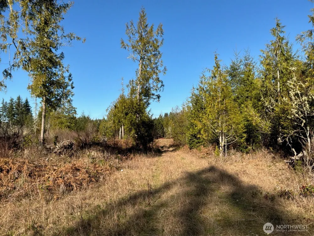 14 xx Spencer Road Onalaska, WA 98570