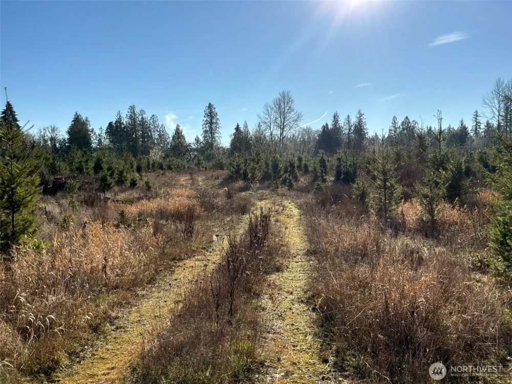 14 xx Spencer Road Onalaska, WA 98570