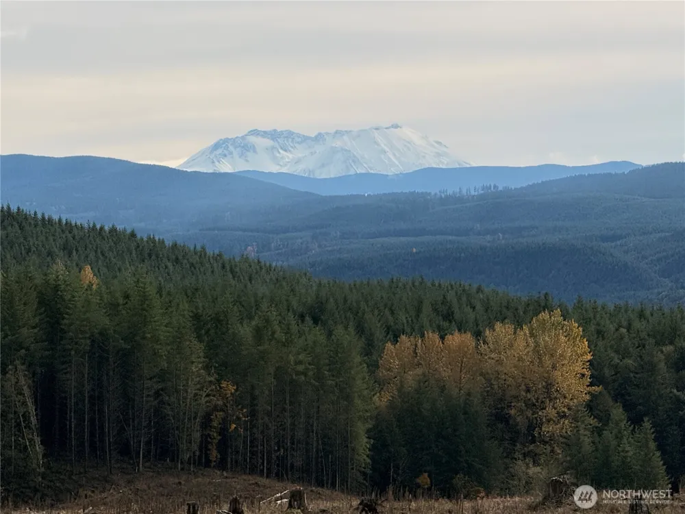 50 x Winston Creek Road Mossyrock, WA 98564