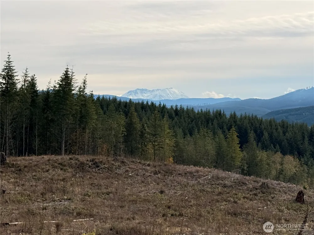 50 x Winston Creek Road Mossyrock, WA 98564