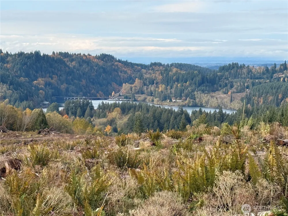 50 x Winston Creek Road Mossyrock, WA 98564
