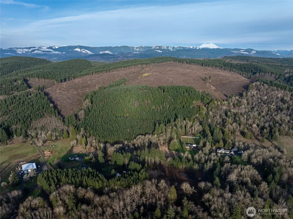 50 x Winston Creek Road Mossyrock, WA 98564