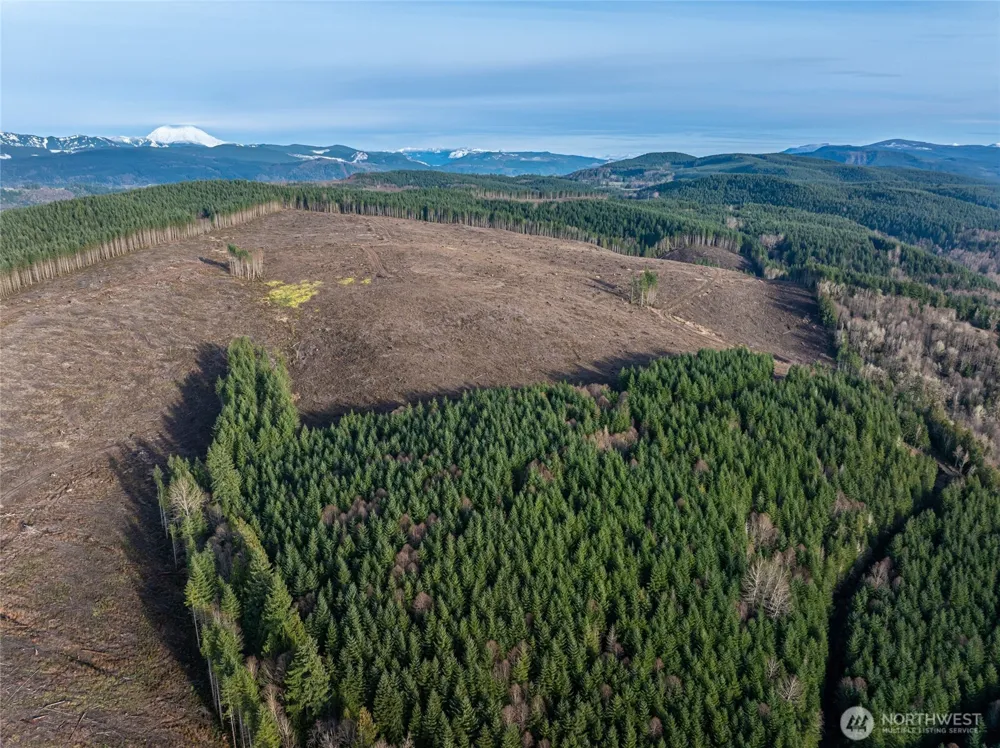50 x Winston Creek Road Mossyrock, WA 98564