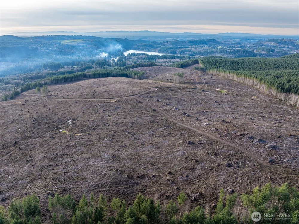 50 x Winston Creek Road Mossyrock, WA 98564
