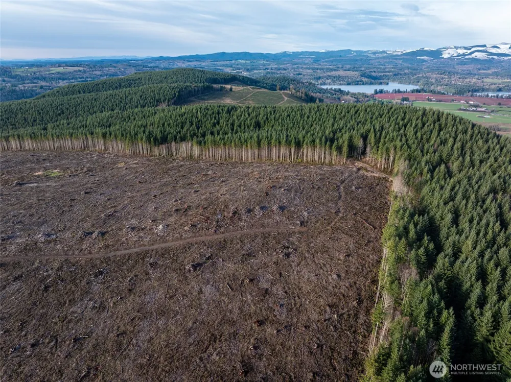 50 x Winston Creek Road Mossyrock, WA 98564