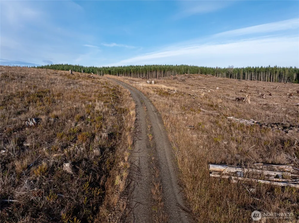 50 x Winston Creek Road Mossyrock, WA 98564