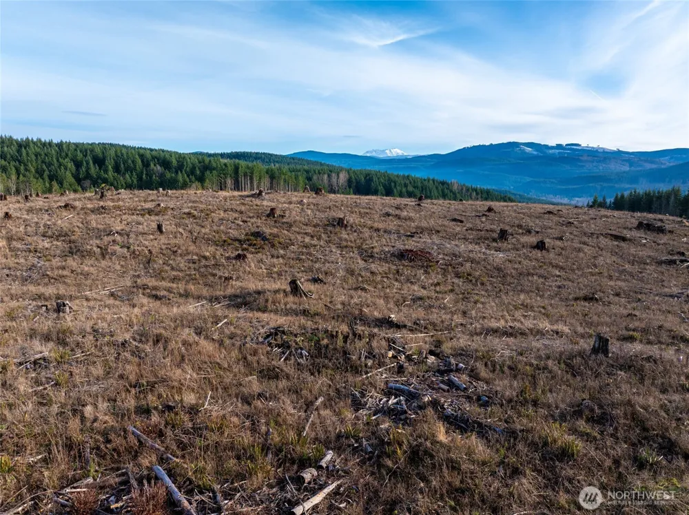 50 x Winston Creek Road Mossyrock, WA 98564