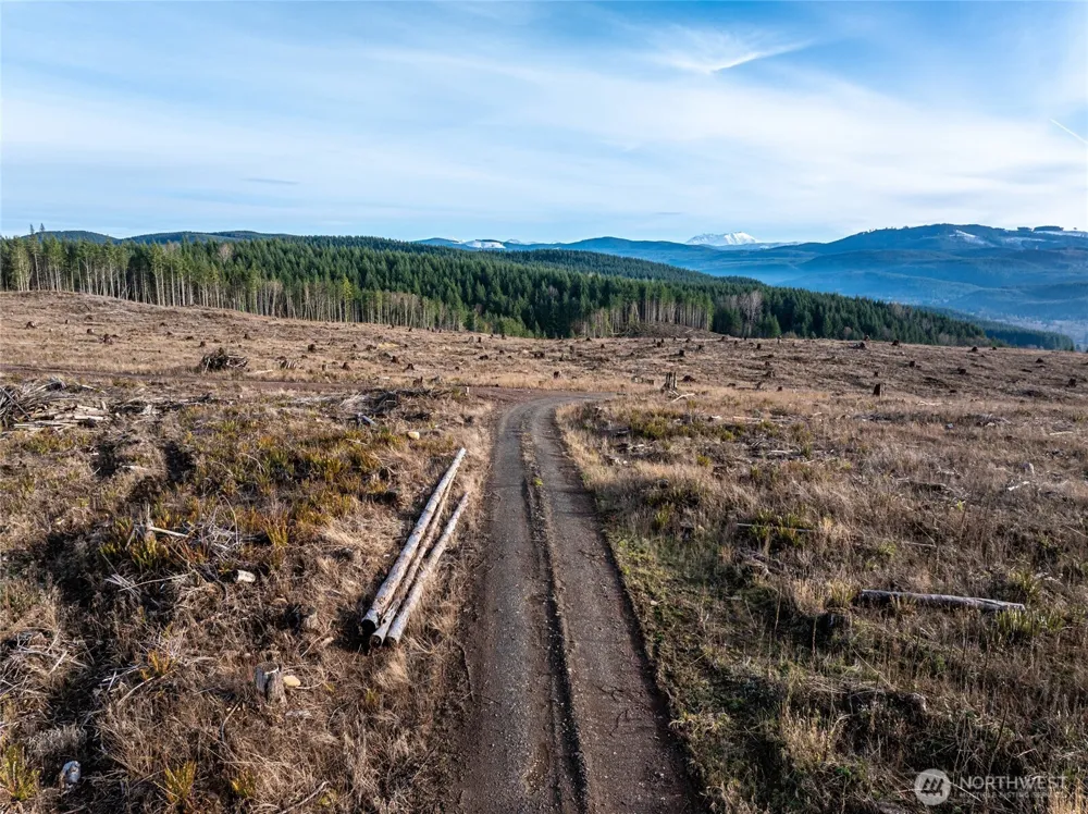 50 x Winston Creek Road Mossyrock, WA 98564