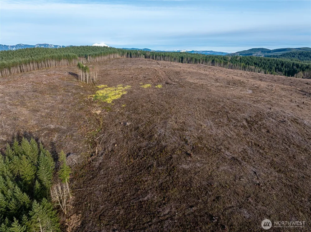 50 x Winston Creek Road Mossyrock, WA 98564