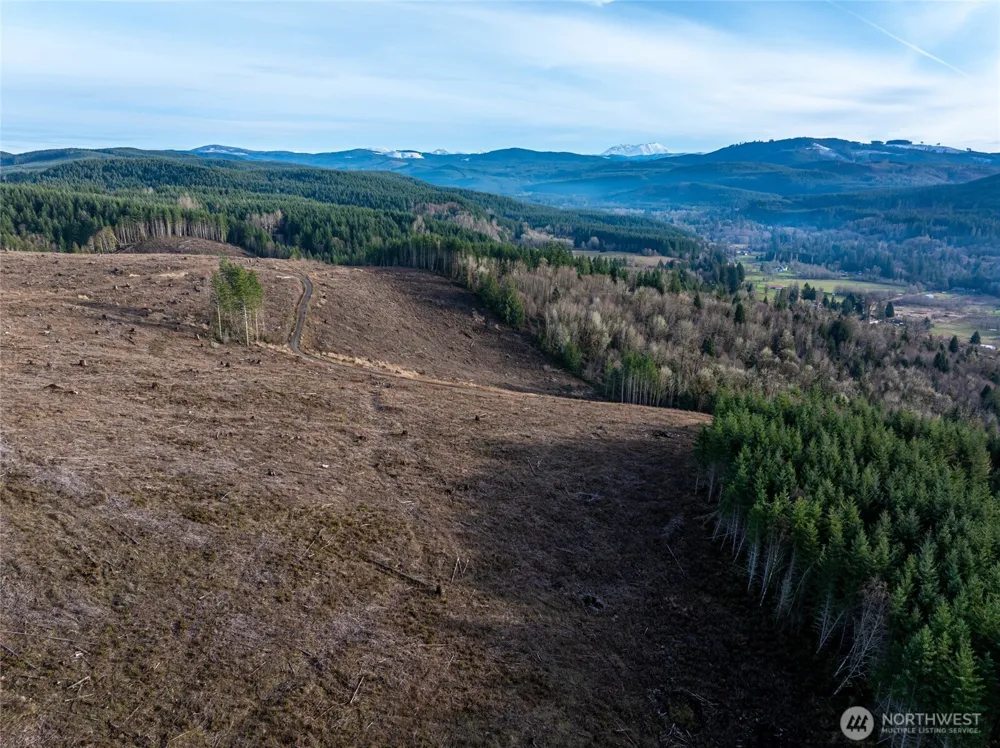 50 x Winston Creek Road Mossyrock, WA 98564