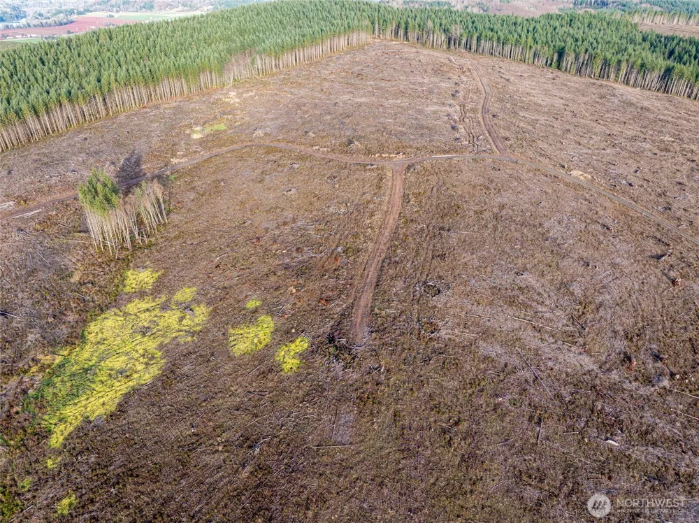 50 x Winston Creek Road Mossyrock, WA 98564