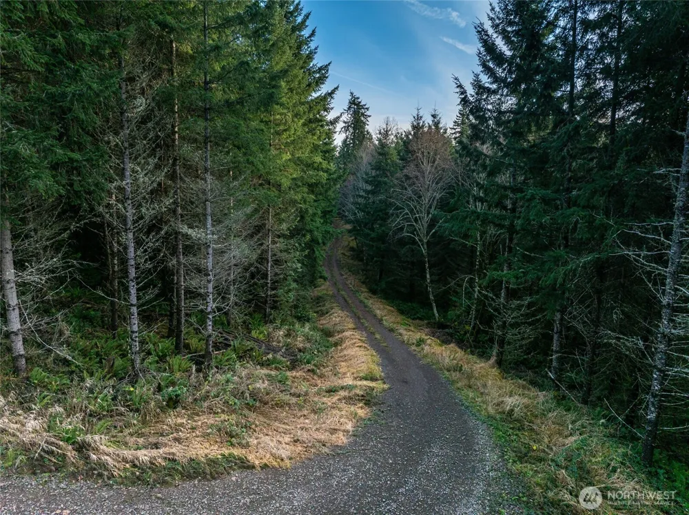 50 x Winston Creek Road Mossyrock, WA 98564