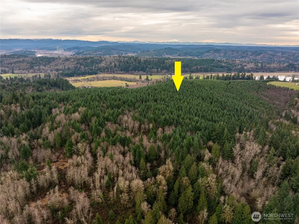 216 xx Zenkner Valley Road SW Centralia, WA 98531