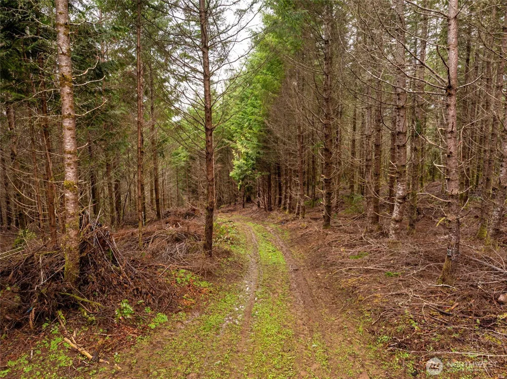 216 xx Zenkner Valley Road SW Centralia, WA 98531