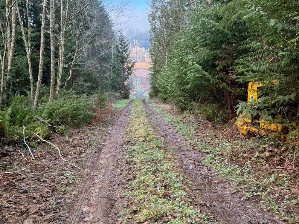 216 xx Zenkner Valley Road SW Centralia, WA 98531