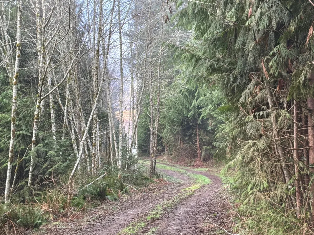 216 xx Zenkner Valley Road SW Centralia, WA 98531