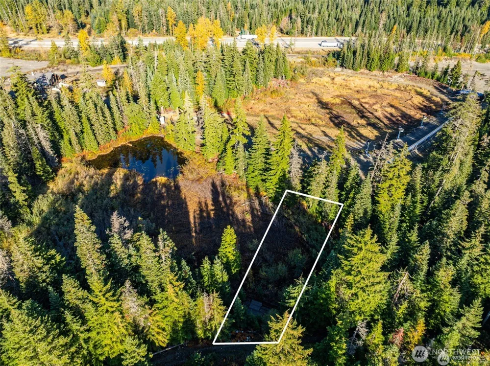 63 Snoqualmie Village Drive Snoqualmie Pass, WA 98068