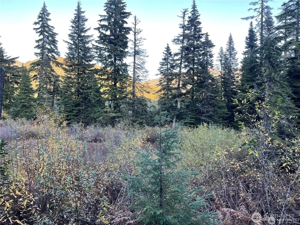 63 Snoqualmie Village Drive Snoqualmie Pass, WA 98068