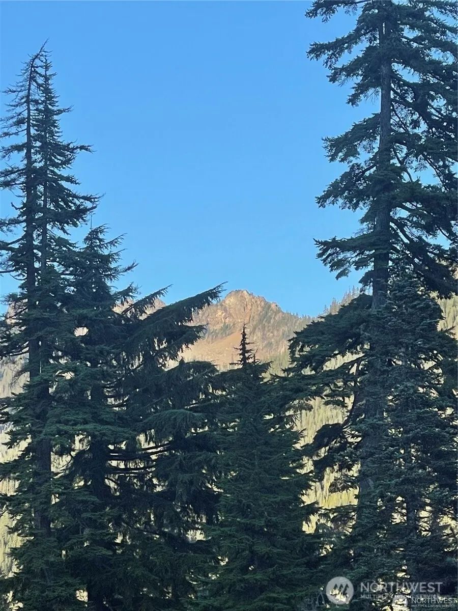 63 Snoqualmie Village Drive Snoqualmie Pass, WA 98068