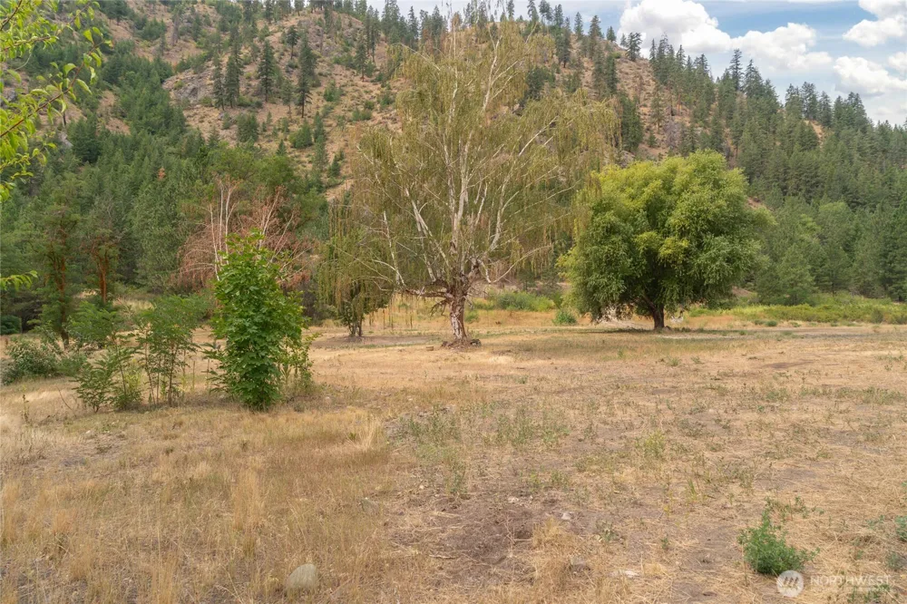 372 Mad Ranch Lane Entiat, WA 98822