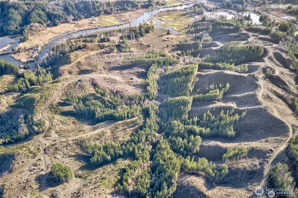 0 XX W Deep River Road Naselle, WA 98638