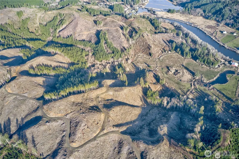 0 XX W Deep River Road Naselle, WA 98638