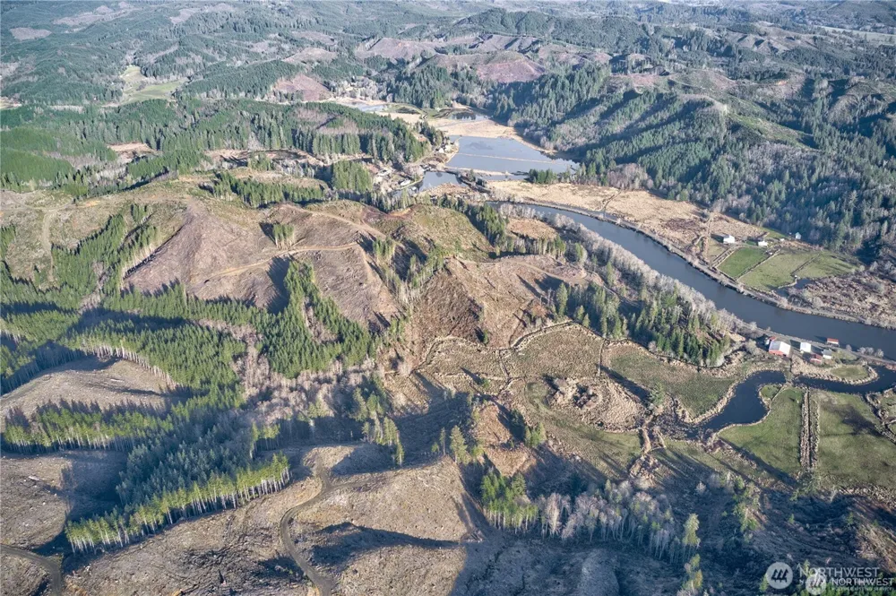 0 XX W Deep River Road Naselle, WA 98638