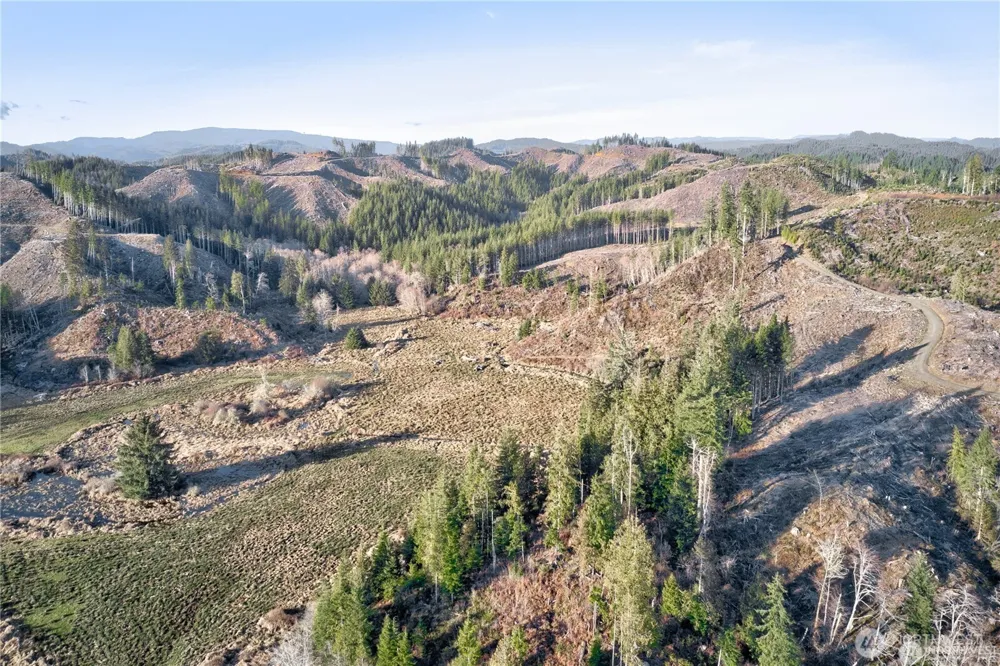 0 XX W Deep River Road Naselle, WA 98638