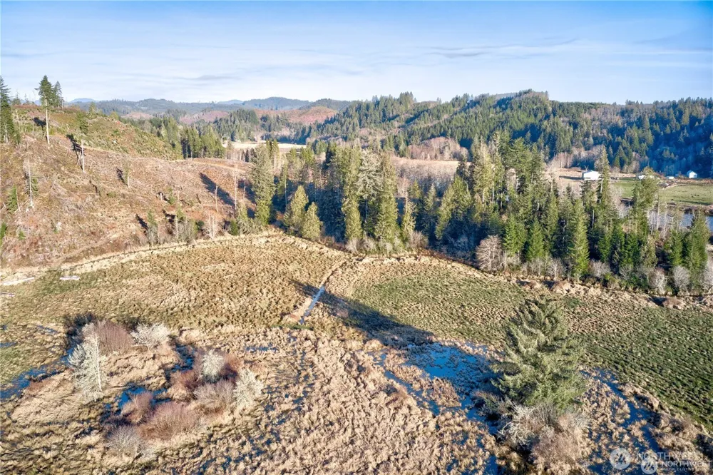 0 XX W Deep River Road Naselle, WA 98638