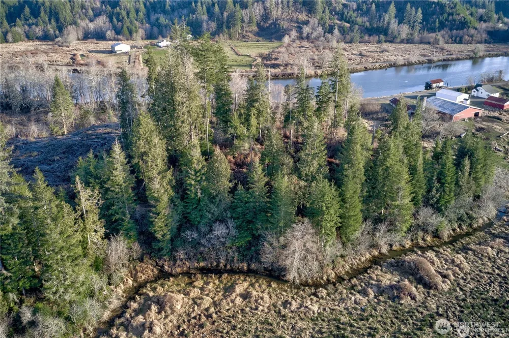 0 XX W Deep River Road Naselle, WA 98638