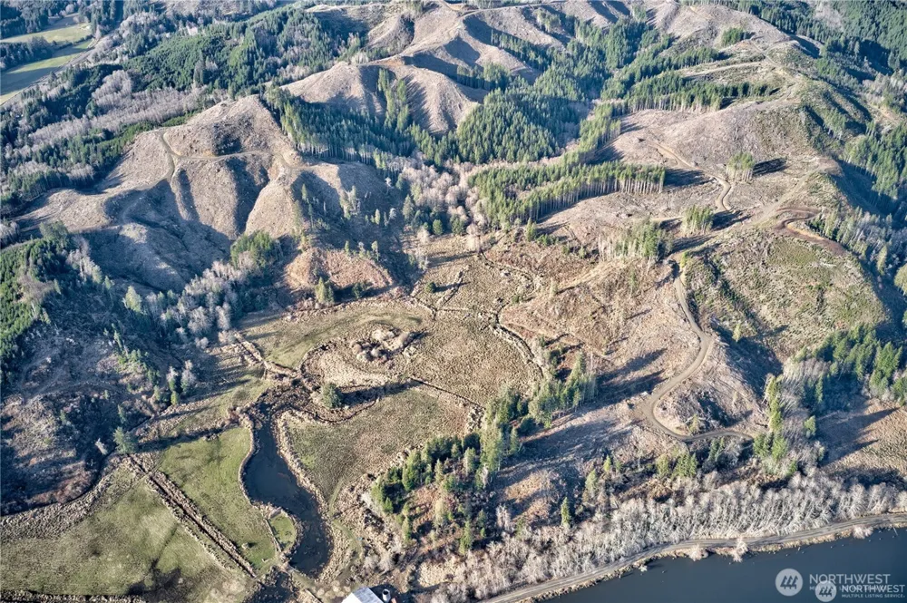 0 XX W Deep River Road Naselle, WA 98638