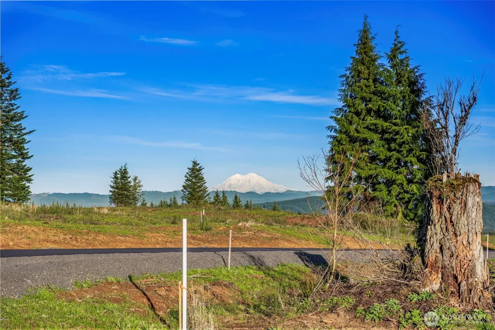 239 Suncrest Drive Castle Rock, WA 98611