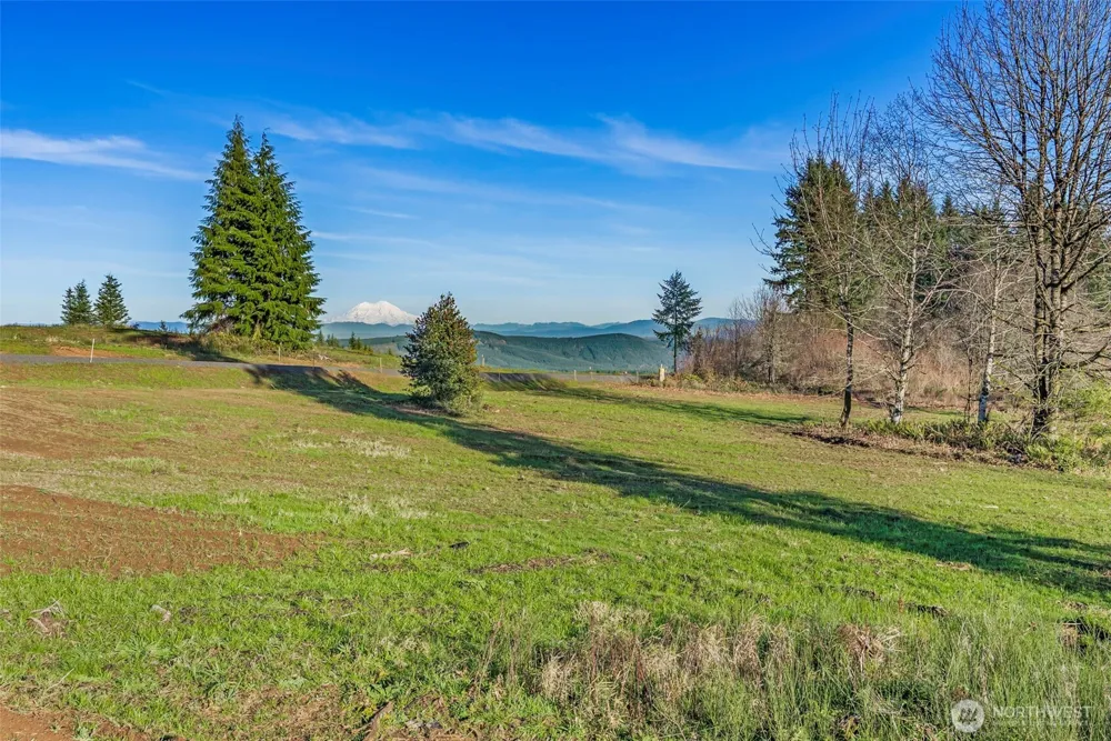 239 Suncrest Drive Castle Rock, WA 98611