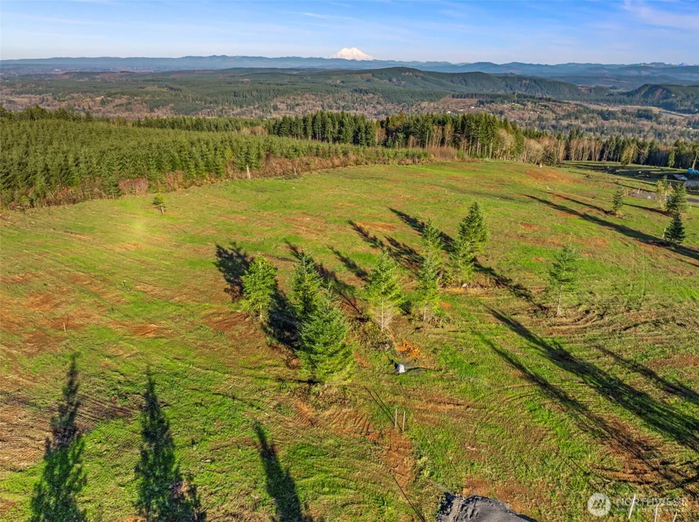 224 Suncrest Drive Castle Rock, WA 98611