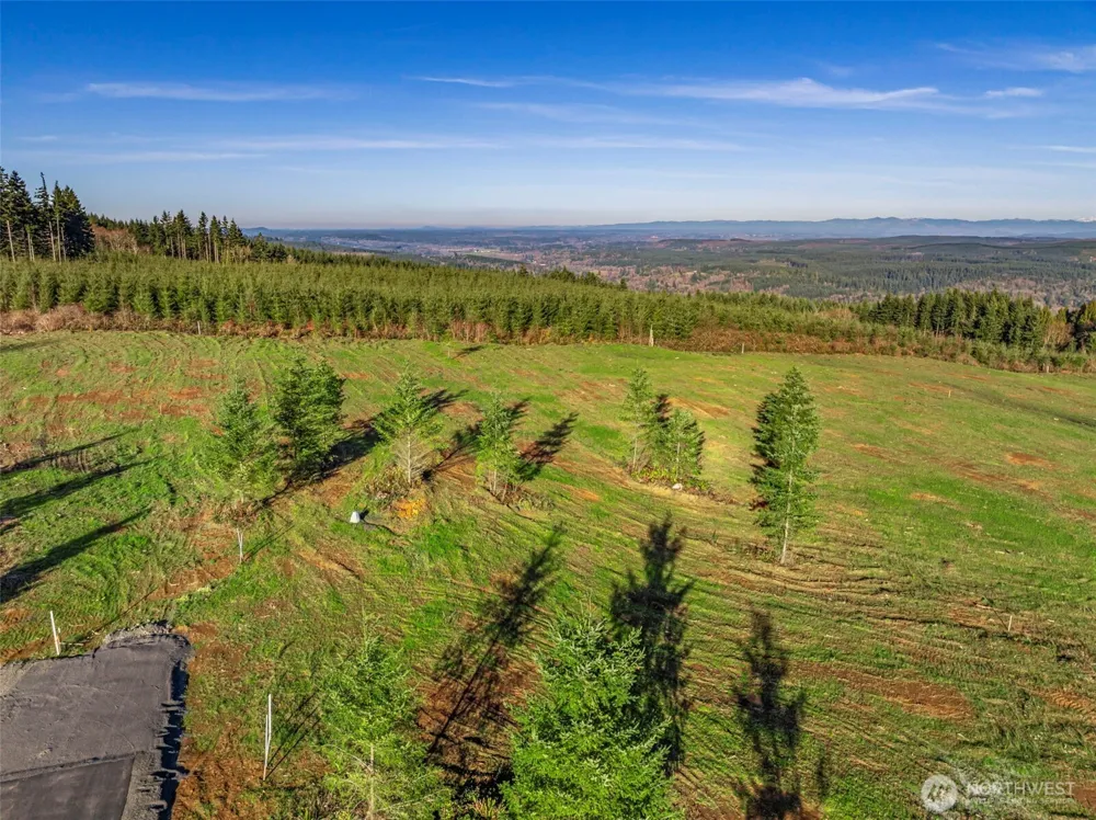 224 Suncrest Drive Castle Rock, WA 98611