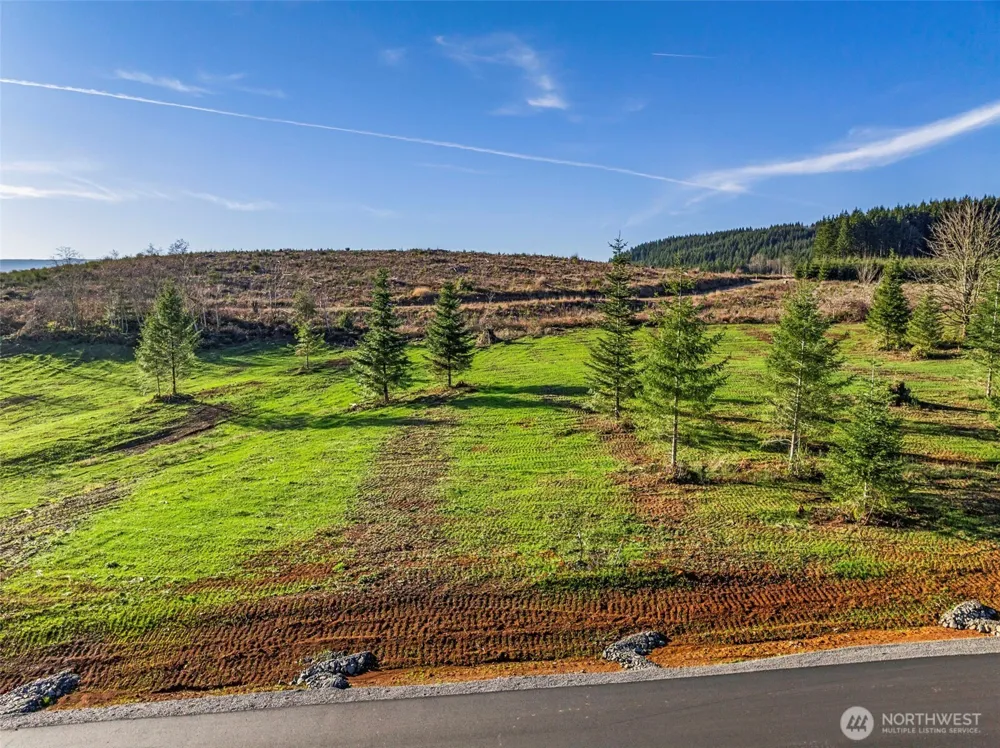 232 Suncrest Drive Castle Rock, WA 98611