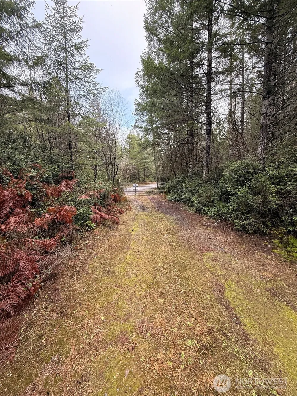 10 XX E Shetland Road Shelton, WA 98584