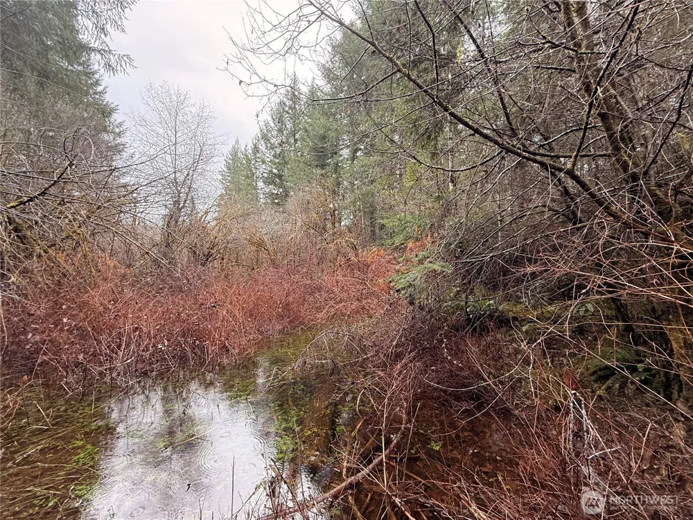 10 XX E Shetland Road Shelton, WA 98584