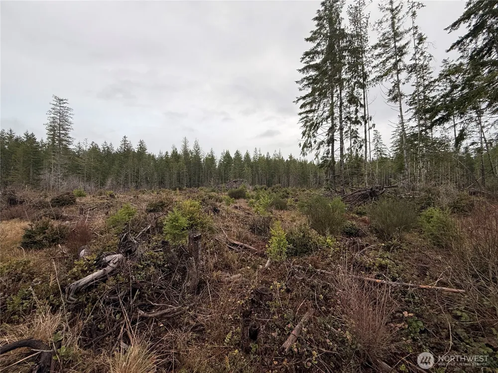10 XX E Shetland Road Shelton, WA 98584