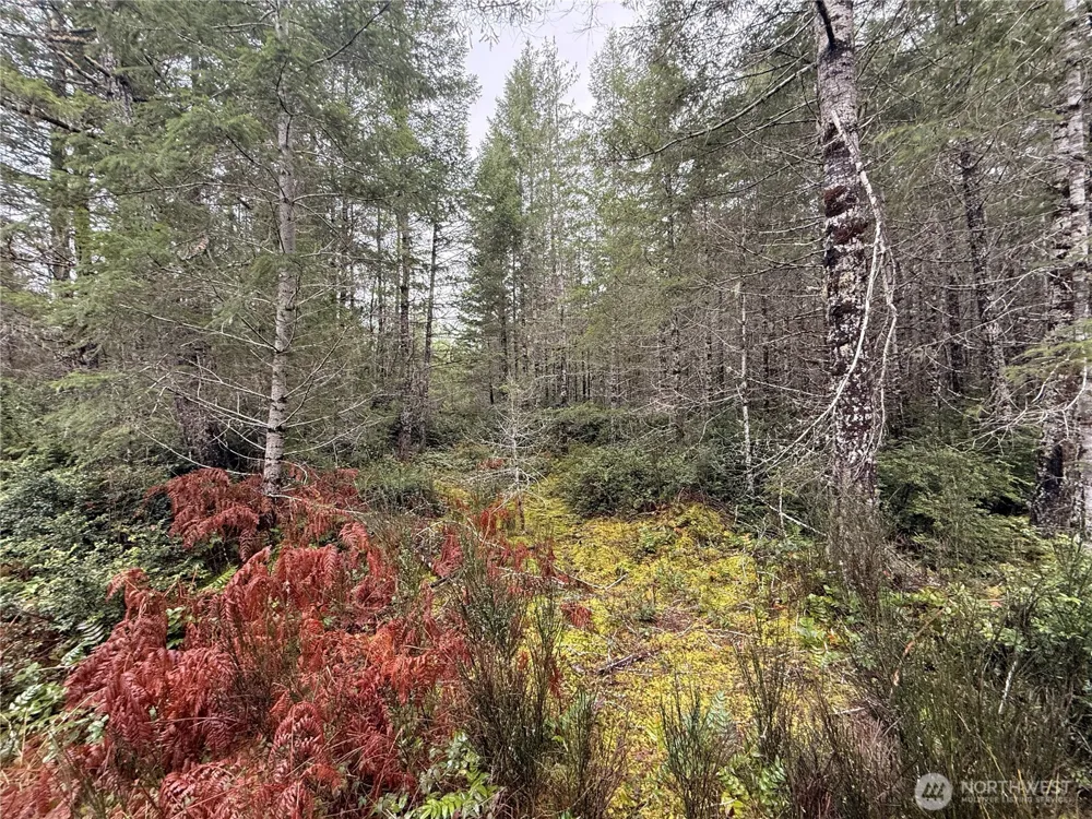 10 XX E Shetland Road Shelton, WA 98584